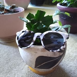 Cute Purple Fossil Sunglasses